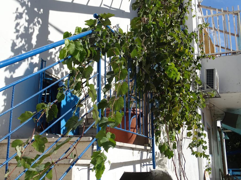 Juha'S Guesthouse - Zarqa Bay Jisr ez Zarqa Kültér fotó