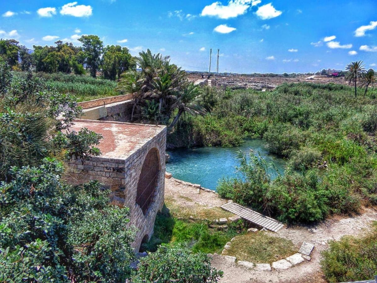 Juha'S Guesthouse - Zarqa Bay Jisr ez Zarqa Kültér fotó