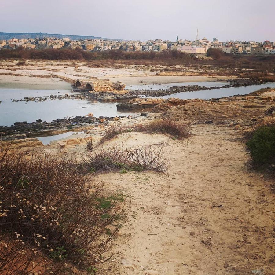 Juha'S Guesthouse - Zarqa Bay Jisr ez Zarqa Kültér fotó